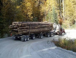 loggingtruck-300x228